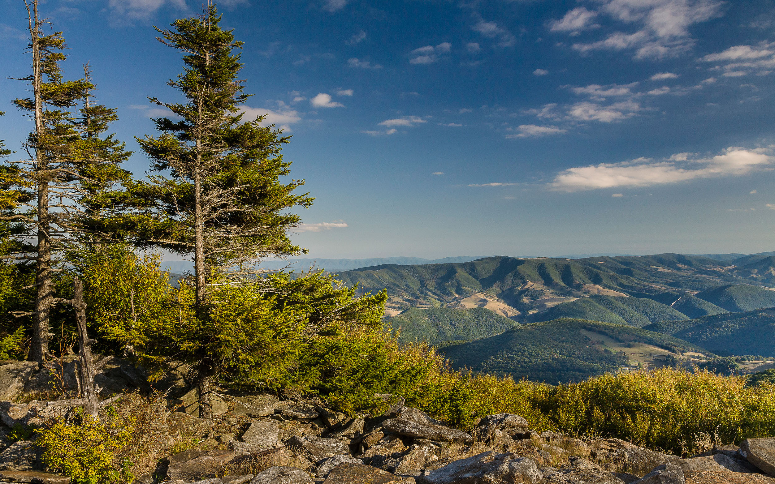 View on a clear day from the summit of a mountain, looking down toward forested slopes and a valley below, with trees in the foreground.