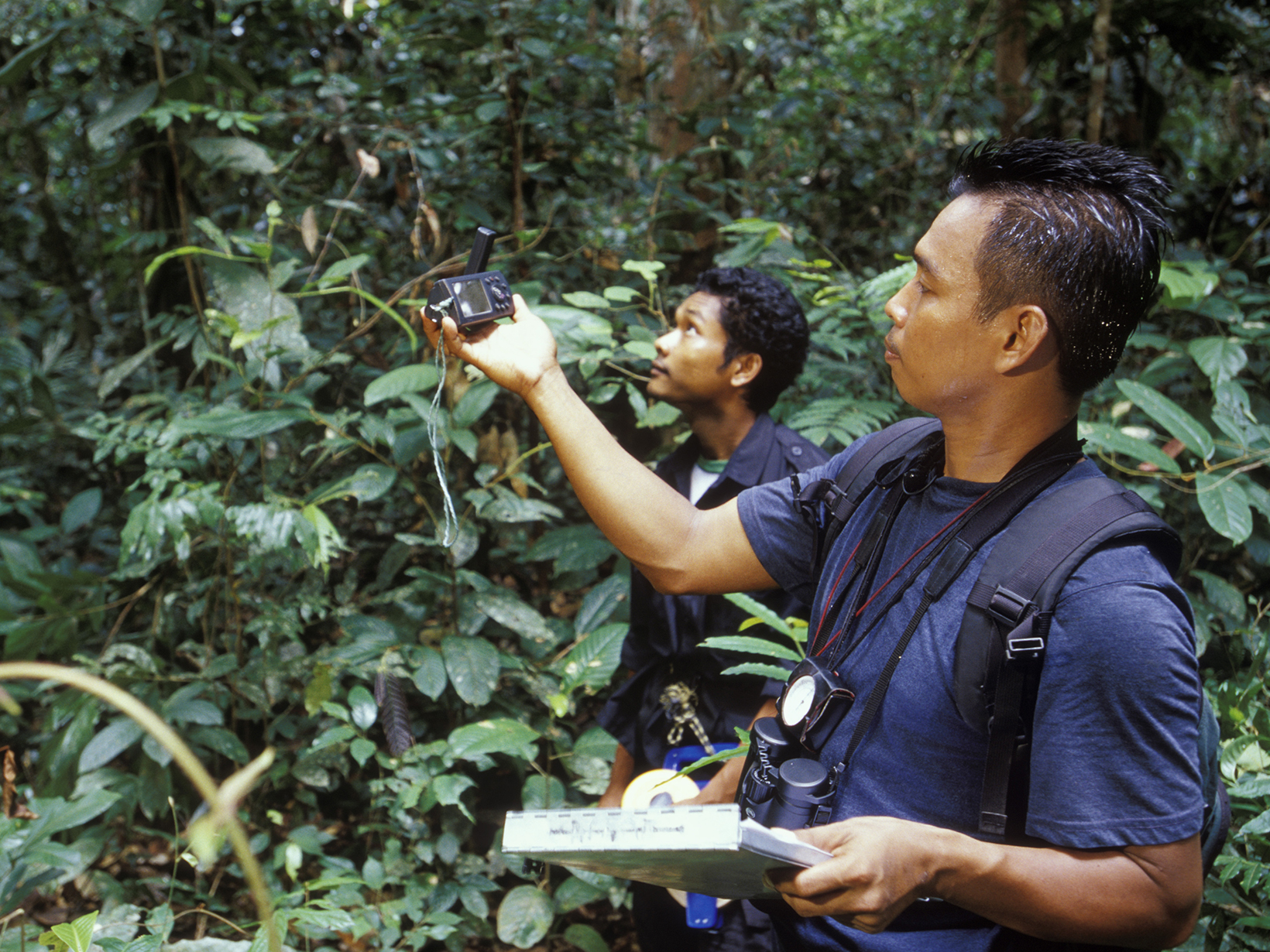 Men working outside in a forest.